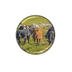 Cows At Countryside, Maldonado Department, Uruguay Hat Clip Ball Marker by dflcprints