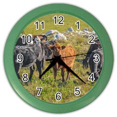 Cows At Countryside, Maldonado Department, Uruguay Color Wall Clock by dflcprints