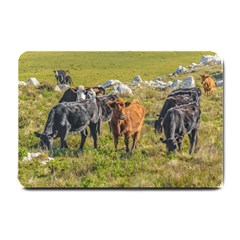 Cows At Countryside, Maldonado Department, Uruguay Small Doormat  by dflcprints