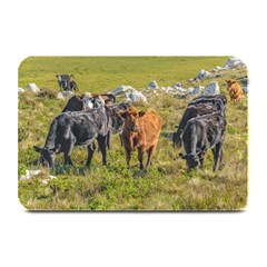 Cows At Countryside, Maldonado Department, Uruguay Plate Mats by dflcprints