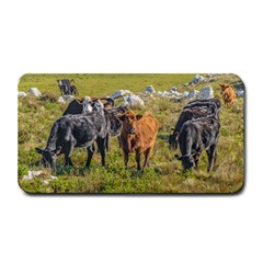 Cows At Countryside, Maldonado Department, Uruguay Medium Bar Mats by dflcprints