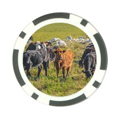 Cows At Countryside, Maldonado Department, Uruguay Poker Chip Card Guard by dflcprints