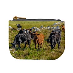 Cows At Countryside, Maldonado Department, Uruguay Mini Coin Purse by dflcprints