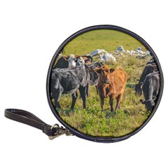 Cows At Countryside, Maldonado Department, Uruguay Classic 20-cd Wallets by dflcprints