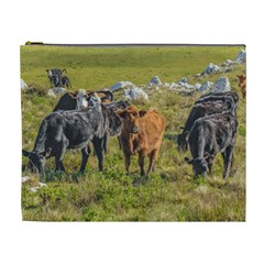 Cows At Countryside, Maldonado Department, Uruguay Cosmetic Bag (xl) by dflcprints