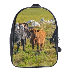 Cows At Countryside, Maldonado Department, Uruguay School Bag (large) by dflcprints