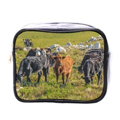 Cows At Countryside, Maldonado Department, Uruguay Mini Toiletries Bag (one Side) by dflcprints