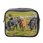 Cows At Countryside, Maldonado Department, Uruguay Mini Toiletries Bag (Two Sides) Front