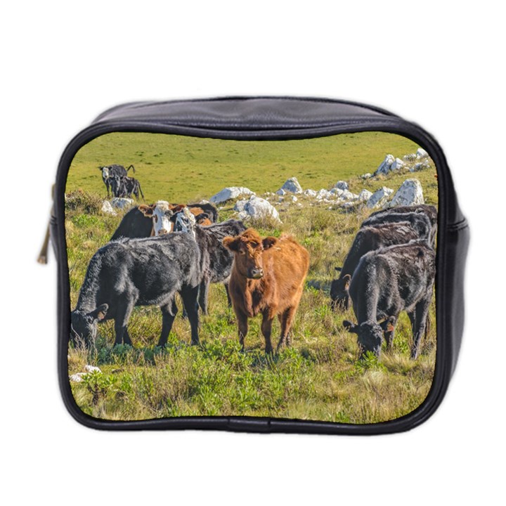 Cows At Countryside, Maldonado Department, Uruguay Mini Toiletries Bag (Two Sides)