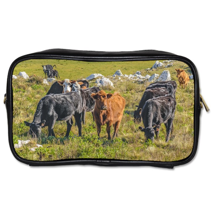 Cows At Countryside, Maldonado Department, Uruguay Toiletries Bag (Two Sides)