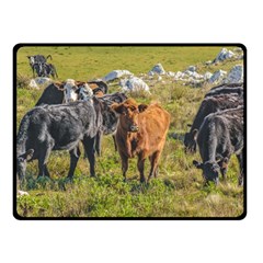 Cows At Countryside, Maldonado Department, Uruguay Fleece Blanket (small) by dflcprints