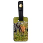 Cows At Countryside, Maldonado Department, Uruguay Luggage Tag (one side) Front