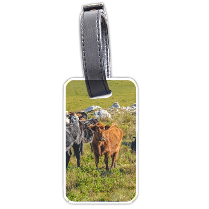 Cows At Countryside, Maldonado Department, Uruguay Luggage Tag (one side)