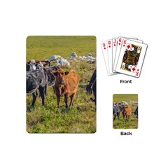 Cows At Countryside, Maldonado Department, Uruguay Playing Cards Single Design (mini) by dflcprints