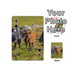 Cows At Countryside, Maldonado Department, Uruguay Playing Cards 54 Designs (Mini) Front - Spade4