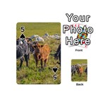 Cows At Countryside, Maldonado Department, Uruguay Playing Cards 54 Designs (Mini) Front - Spade5