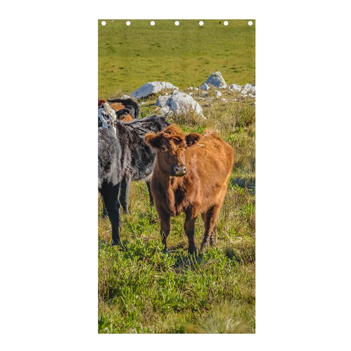 Cows At Countryside, Maldonado Department, Uruguay Shower Curtain 36  x 72  (Stall) 