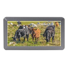 Cows At Countryside, Maldonado Department, Uruguay Memory Card Reader (mini) by dflcprints