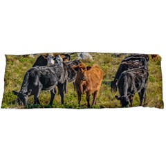 Cows At Countryside, Maldonado Department, Uruguay Body Pillow Case (dakimakura) by dflcprints