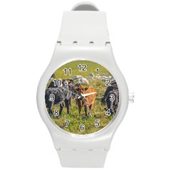 Cows At Countryside, Maldonado Department, Uruguay Round Plastic Sport Watch (m) by dflcprints