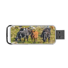 Cows At Countryside, Maldonado Department, Uruguay Portable Usb Flash (one Side) by dflcprints