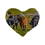 Cows At Countryside, Maldonado Department, Uruguay Standard 16  Premium Heart Shape Cushions Front