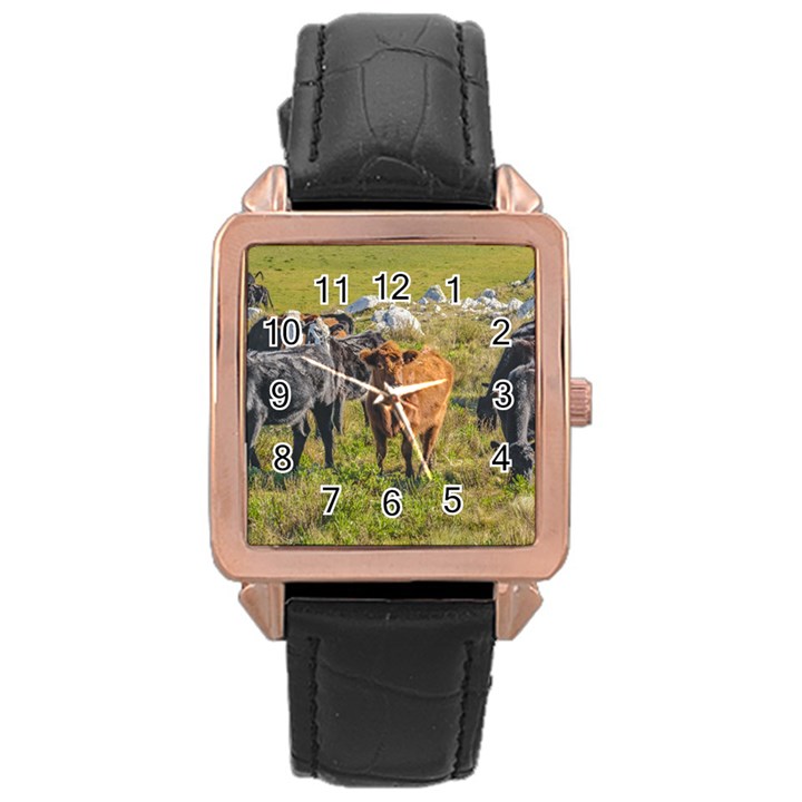 Cows At Countryside, Maldonado Department, Uruguay Rose Gold Leather Watch 