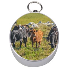 Cows At Countryside, Maldonado Department, Uruguay Silver Compasses by dflcprints