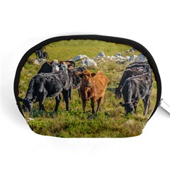 Cows At Countryside, Maldonado Department, Uruguay Accessory Pouch (medium) by dflcprints