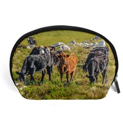 Cows At Countryside, Maldonado Department, Uruguay Accessory Pouch (large) by dflcprints