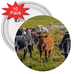 Cows At Countryside, Maldonado Department, Uruguay 3  Buttons (10 Pack)  by dflcprints