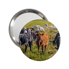 Cows At Countryside, Maldonado Department, Uruguay 2 25  Handbag Mirrors