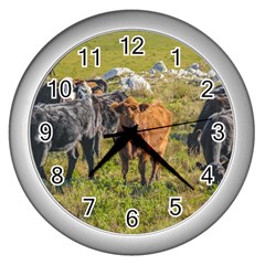 Cows At Countryside, Maldonado Department, Uruguay Wall Clock (silver) by dflcprints