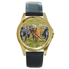 Cows At Countryside, Maldonado Department, Uruguay Round Gold Metal Watch by dflcprints