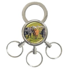 Cows At Countryside, Maldonado Department, Uruguay 3-ring Key Chain by dflcprints