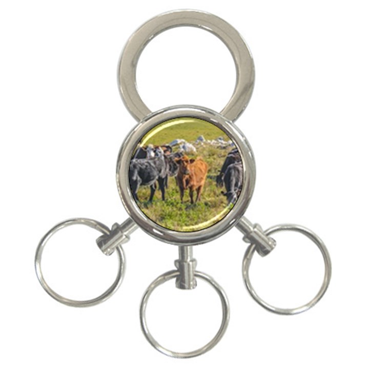 Cows At Countryside, Maldonado Department, Uruguay 3-Ring Key Chain