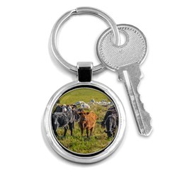 Cows At Countryside, Maldonado Department, Uruguay Key Chain (round) by dflcprints