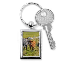 Cows At Countryside, Maldonado Department, Uruguay Key Chain (rectangle) by dflcprints