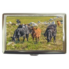 Cows At Countryside, Maldonado Department, Uruguay Cigarette Money Case by dflcprints