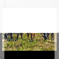 Cows At Countryside, Maldonado Department, Uruguay Rectangular Jigsaw Puzzl by dflcprints