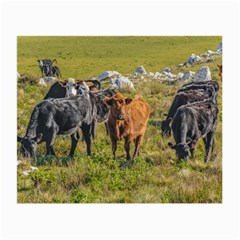 Cows At Countryside, Maldonado Department, Uruguay Small Glasses Cloth by dflcprints