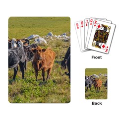 Cows At Countryside, Maldonado Department, Uruguay Playing Cards Single Design (rectangle)