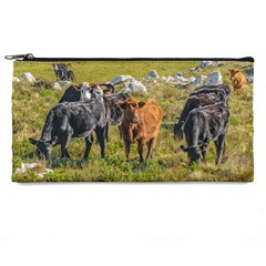 Cows At Countryside, Maldonado Department, Uruguay Pencil Cases by dflcprints