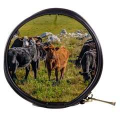 Cows At Countryside, Maldonado Department, Uruguay Mini Makeup Bag by dflcprints