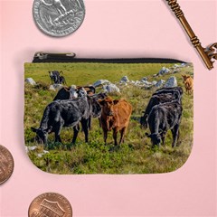 Cows At Countryside, Maldonado Department, Uruguay Mini Coin Purse by dflcprints