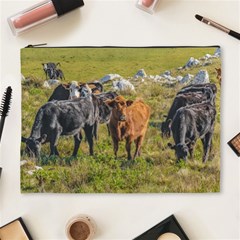 Cows At Countryside, Maldonado Department, Uruguay Cosmetic Bag (xl) by dflcprints