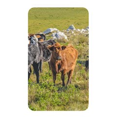 Cows At Countryside, Maldonado Department, Uruguay Memory Card Reader (rectangular) by dflcprints