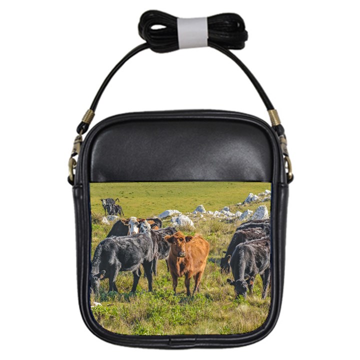 Cows At Countryside, Maldonado Department, Uruguay Girls Sling Bag