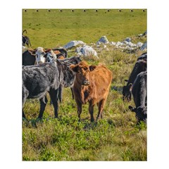 Cows At Countryside, Maldonado Department, Uruguay Shower Curtain 60  X 72  (medium)  by dflcprints