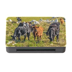 Cows At Countryside, Maldonado Department, Uruguay Memory Card Reader With Cf by dflcprints